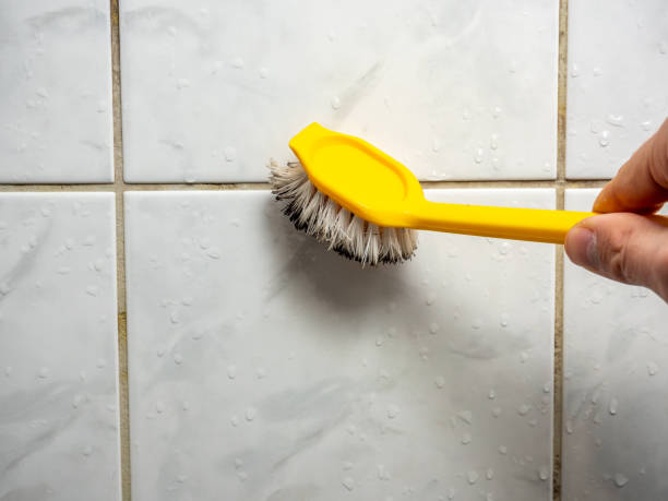 Best DIY Mold Remediation Support Services in Pflugerville, TX