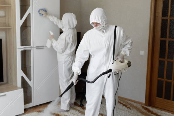 Best Residential Mold Remediation in Pflugerville, TX