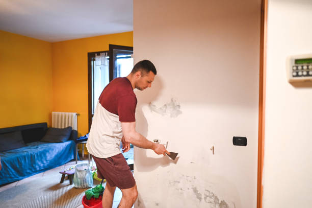 Best Bathroom Mold Remediation in Pflugerville, TX